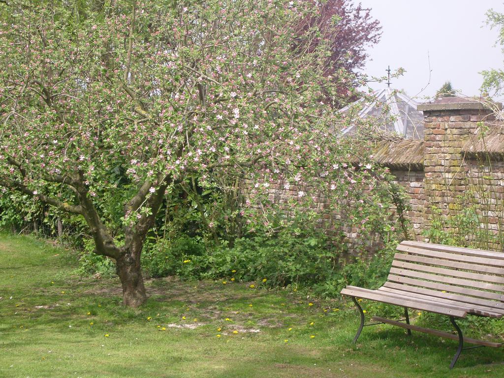 Bed & Breakfast Appeltern Exterior foto