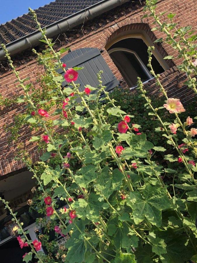 Bed & Breakfast Appeltern Exterior foto